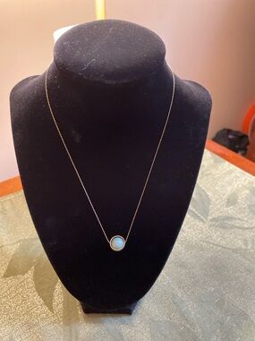 NWT  Necklace.